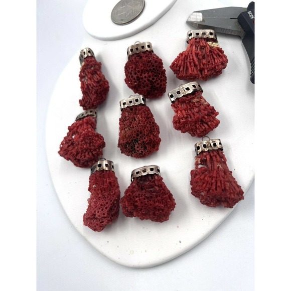COPY - Natural Red Pipe Coral Pendant 925 Starling Silver Cape Buyer Will Get 1… - Picture 8 of 9